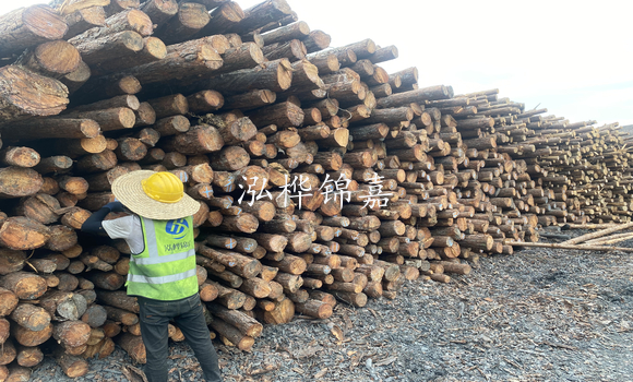 松木樁是什么，松木樁的用途有哪些-松木樁介紹